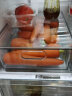 sungsa冰箱保鲜盒冷冻抽屉收纳盒鸡蛋盒冷藏盒瓜果蔬菜整理盒储存盒 大号6L(PET不带隔板） 实拍图