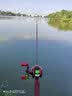达亿瓦（DAIWA）21新款 SALAMANDURA火蜥蜴 路亚竿钓鱼竿高碳轻量鱼杆 2.24m 742MFB（中调2.24米枪柄） 实拍图
