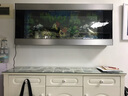 欧庭 壁挂金鱼缸生态大中型客厅居家观赏玻璃水族箱创意挂墙长方形 130x15x55/cm 实拍图