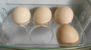 敞鲜 正宗土鸡蛋农家散养新鲜纯农村自养天然草鸡蛋柴鸡蛋笨鸡蛋 40枚 实拍图