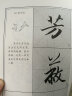 墨点字帖 赵孟頫洛神赋毛笔书法练习入门 历代经典碑帖高清放大对照本赵孟頫洛神赋+赵孟頫前后赤壁赋 （套装2本） 实拍图