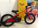 途锐达蜂鸟儿童自行车3-6-8岁男女孩超轻儿童单车脚踏车自行车16寸红色 晒单实拍图
