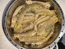 喜鲜德春节正常发货 鲜活海捕 大号皮皮虾 无冰净重 公 母 虾爬子 冰鲜 公母组合1斤装（共15-18只） 实拍图