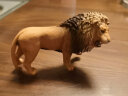 思乐（Schleich S）仿真动物模型 老虎狮子狼豹白虎猞猁小动物儿童玩具摆件新年礼物 咆哮的狮子14726 实拍图