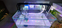 YEE鱼缸水族箱浮法玻璃热弯客厅家用造景中小型生态桌面鱼缸 超清热弯20*14*16cm 实拍图