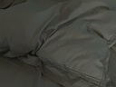 SIDANDA羽绒被95白鹅绒可水洗A类面料鹅绒填充266g 夏被200*230cm 实拍图