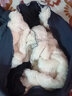 BURLEMON秋冬保暖棉裤男女抓绒加厚裤防风防寒户外运动登山裤 ZT1733灰色束脚-男女同款 XL 实拍图