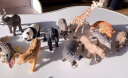 勾勾手 儿童农场动物 仿真模型男女孩玩具早教玩具12只农场动物彩盒装 实拍图