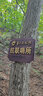 彩格cf277a硒鼓适用惠普m329dw硒鼓m405dn/dw m305d m405d硒鼓hpM429fdw/fdn m429dw打印机墨粉盒碳粉CF77X 【带芯片-大容量】CF277A硒鼓/110 实拍图
