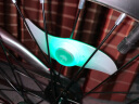 自行车灯风火轮柳叶辐条灯 山地车警示灯单车骑行装备配件 绿色(2个)自带电池 实拍图