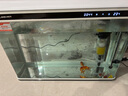 闽江（minjiang）鱼缸水族箱家用屏风生态造景中大型金龙鱼缸客厅免换水鱼缸 纯洁白色（养鱼礼包+升级过滤） 长80.6*宽31.2*高55（单缸体不含柜） 实拍图