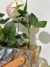 京东鲜花 轻奢手提包玻璃花瓶简约创意高级感水养鲜花玫瑰摆件客厅 实拍图