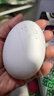 顺丰 鲜鹅蛋 农家散养土鹅蛋生鹅蛋 单个100-140g 12枚 1.2kg 起 实拍图