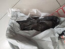 惠朗（huilang）1440枚39*25mm不干胶标签纸/不干胶贴纸自粘性口取纸标签贴不干胶打印纸24枚/张60张/包 红色 实拍图
