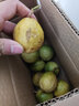 百香果 钦蜜9号黄金百香果 新鲜水果 茶饮水果原料 西番莲 鸡蛋果 10枚装 【罕见特大果】单果70-90g 实拍图
