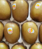 佳沛（zespri）新西兰阳光金奇异果10粒礼盒巨大果单果约146-175g水果猕猴桃 实拍图