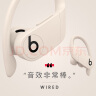 beats Beats Powerbeats Pro 完全无线高性能耳机 真无线蓝牙运动耳机 象牙白 实拍图