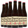 TRAPPISTES ROCHEFORT罗斯福 6号啤酒 修道士精酿330ml*6瓶 比利时进口 春日出游 实拍图