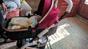 贝丽可（belecoo） 婴儿推车高景观 可坐可平躺避震折叠双向BB宝宝轻便手推童车 实拍图