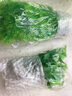 水族箱鱼池鱼缸水草箱造景仿真水草 人物假山珊瑚贝壳假鱼水草塑料水草 仿真植物 鱼缸布景 CT0801大旋草绿色 高22CM 实拍图