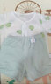 童泰（TONGTAI）婴儿套装纯棉夏季薄款男女宝宝衣服提花网眼内衣儿童短袖短裤 绿色 90cm 晒单实拍图