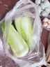 桃西村正宗河北玉田二包尖白菜新鲜御菜大白菜当季露天白菜农家种植蔬菜 2500g  普通装 实拍图