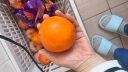土八鲜江西橙子赣南脐橙赣州脐橙手剥橙新鲜水果礼盒 未来橙10斤装【单果径80-89mm】 实拍图