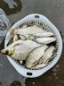 赤海龙纹鲤赤海龙纹鲤龙纹鲤碳素台钓竿超轻超硬钓鱼竿长节手竿鲫鲤鱼竿野钓 4.8米+3.6米+双杆稍+双礼包 实拍图