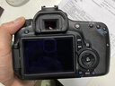 佳能/Canon 60D 70D 80D 77D 90D 二手单反相机 半画幅中端级数码相机 60D 单机 99新 实拍图