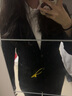 普妮姿黑色西装套装女春秋新款职业装大学生职场面试正装工作服西服外套 单件黑色西装 XL 【建议108-117斤】 实拍图