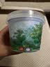 乐纯三三三倍茉莉花茶味希腊式风味发酵乳135g 实拍图