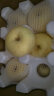 东方玘缘山东烟台栖霞奶油富士苹果85级9斤 精选烟台苹果时令水果源头直发 实拍图