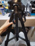 佳能（canon） EOS 6D Mark II 6D2 单反相机 单反机身套机 全画幅专业单反套机 EF24-105mm F4 IS USM红圈镜头 豪华套餐 实拍图