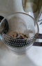 绿昌明月牙玻璃茶杯耐高温茶水分离木把办公个人专用过滤喝水绿茶泡茶器 晒单实拍图