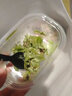 甜动作毛巾卷蛋糕网红甜品蛋糕奶新鲜奶油蛋糕零食七夕情人节礼物 可可+草莓+抹茶390g（共3盒） 实拍图
