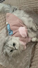 华元宠具（hoopet）猫咪衣服防掉毛幼猫小猫宠物德文猫猫冬季毛衣秋冬无毛猫保暖外套 三只猫2脚小外套（粉） L:胸围40-45cm（建议约7-10斤） 实拍图