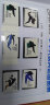 【邮天下】1980年-1999北方年册 集邮年册 邮票年册 1988年北方集邮票年册 实拍图