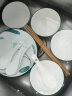 惠寻 京东自有品牌 16件套釉下彩欧式简约春意盎然家用碗碟套装 实拍图
