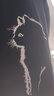 真维斯（JEANSWEST）纯棉短袖男女夏季休闲百搭T恤衫青少年学生胖子半袖宽松胸标上衣 黑色（毛绒小怪X） 3XL 体重（150-170斤左右） 实拍图