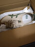 Onitsuka Tiger鬼塚虎经典复古男女奶茶色轻便运动休闲鞋MEXICO 66™ 1183C102 米色 40 实拍图