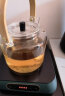 天喜（TIANXI）煮茶壶玻璃烧水壶耐高温家用养生提梁壶泡茶具蒸茶煮茶器双胆 实拍图