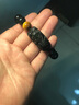 金石灵天然黑曜石手串貔貅男士手链水晶玛瑙虎眼石佛珠送转运珠生日礼物 彩虹眼貔貅手链12mm 实拍图