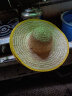 Shiftend草帽大号农民农用下田编织草帽遮阳防晒工地工用帽子男儿童大沿女 包边麦秆草帽 41.5-42厘米 实拍图