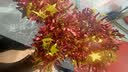华峻宇新年装饰纸扇拉花挂件2026年春节过年挂饰元旦教室商场布置用品 折纸扇拉花-新年快乐 实拍图