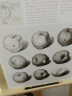 《经典素描静物》铅笔美术绘画书籍杨建飞联考线描技法结构诀窍照片临摹临本从自学到精通画画初学 晒单实拍图