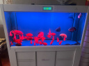 森森（SUNSUN）鱼缸潜水灯变色LED灯七彩照明水族箱造景灯龙鱼防水灯管 130cm双排灯红色22W（带独立开关） 实拍图