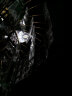 FSL佛山照明尖泡led灯泡烛形尖泡水晶灯泡小螺口E14晶钻金色6.5W白光 实拍图
