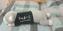 涵奕熊可爱老鼠公仔抱抱鼠毛绒玩具抱枕布娃娃玩偶女生睡觉床上生日礼物 开心每一天 胖版全长约80厘米【送小海豚挂件】 实拍图