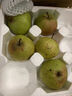 世果达正宗吉林延边州苹果梨霜后延吉龙井东北特产新鲜水果顺丰大白梨 5斤超大果【单果350g+】普快 实拍图