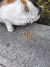 伟嘉宠物成猫粮 成猫海洋鱼味3.6kg 实拍图